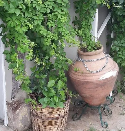 Pera Ayvalik Guest House فندق