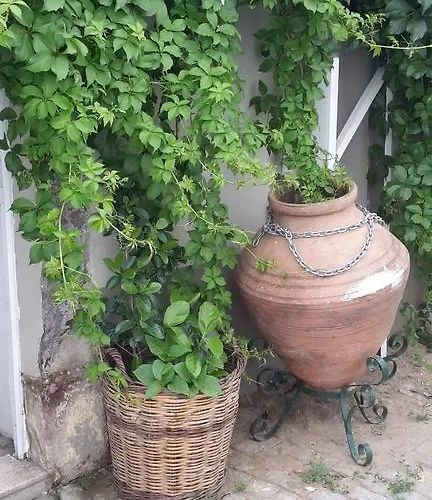 Pera Ayvalik Guest House Ξενοδοχείο